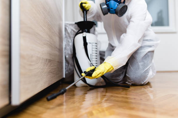 Best Wildlife Control Services  in University Of Lifornia Davis, CA