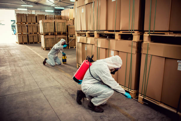 Trusted University Of California Davis, CA Pest Control Experts