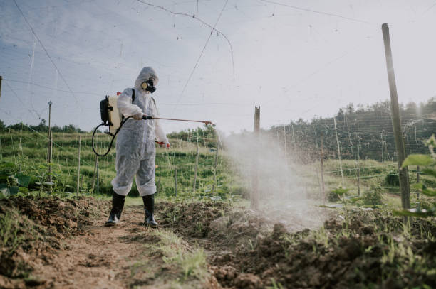 Best Ant Control Services  in University Of Lifornia Davis, CA