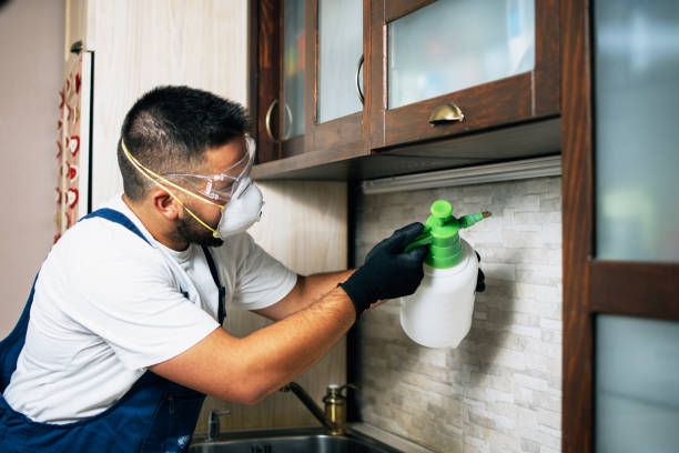 Best Pest Inspection Near Me  in University Of Lifornia Davis, CA