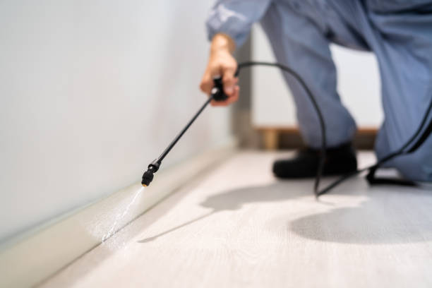 Pest Control Cost in University Of California Davis, CA