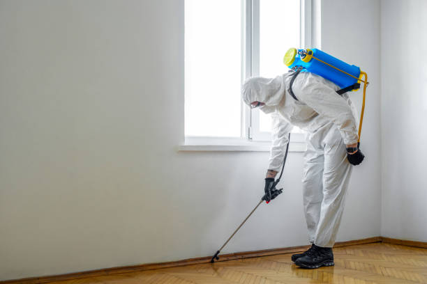 Best Commercial Pest Control Services  in University Of Lifornia Davis, CA
