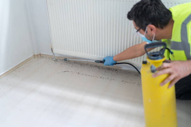 Best Cockroach Control Services  in University Of Lifornia Davis, CA