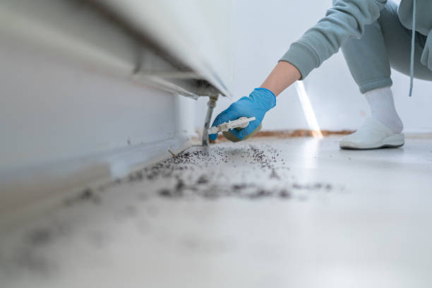 Best Pest Removal Services  in University Of Lifornia Davis, CA
